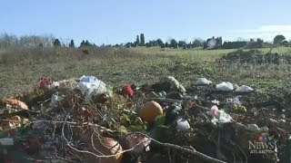 Graveyard Garbage: N.S. cemetery battling illegal dumping