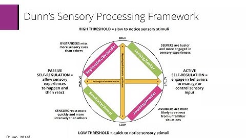 Sensory Processing & Autism