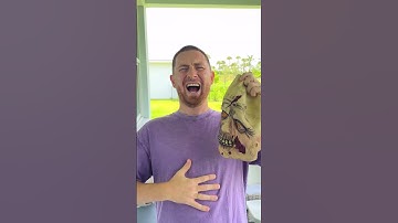 Prank Girl VS Boy AURA +9999 😳💀😱 #shorts #khamitovy #martaandrustam