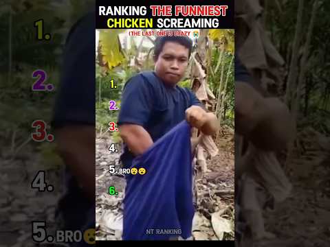 Ranking the funniest chicken screaming