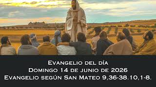 Evangelio del domingo 14 de junio de 2026