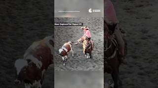 Stop Tail-Twisting Events