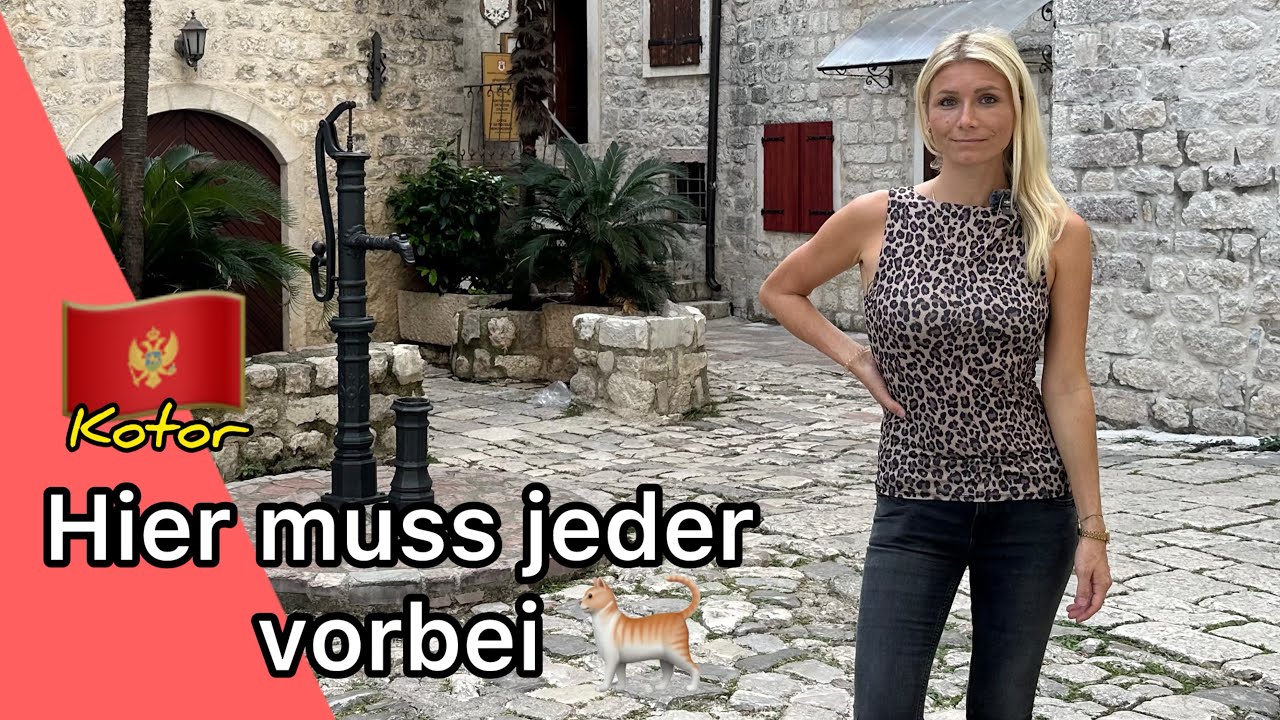 Montenegro haut uns direkt um | Kotor hier muss du halten 🐈 | Montenegro Tour #2