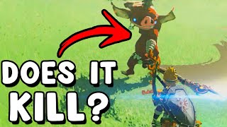 I Busted 15 Myths In Zelda Tears Of The Kingdom #11