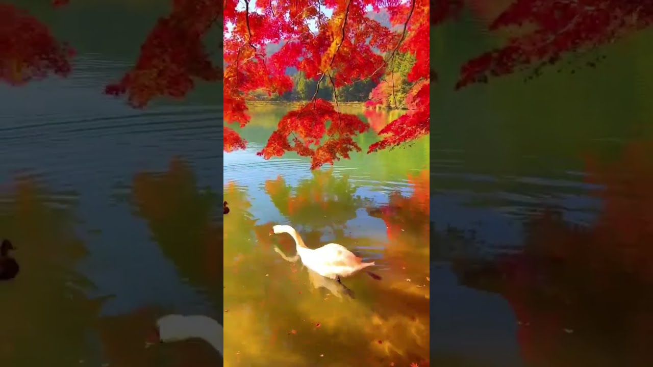 Marveling At The Wonder Of This World Is Probably A Fairyland On Earth