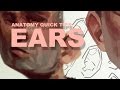 Anatomy Quick Tips: Ears