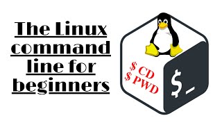 The 2 Most-Used Linux Commands You Should Know : $pwd and $cd