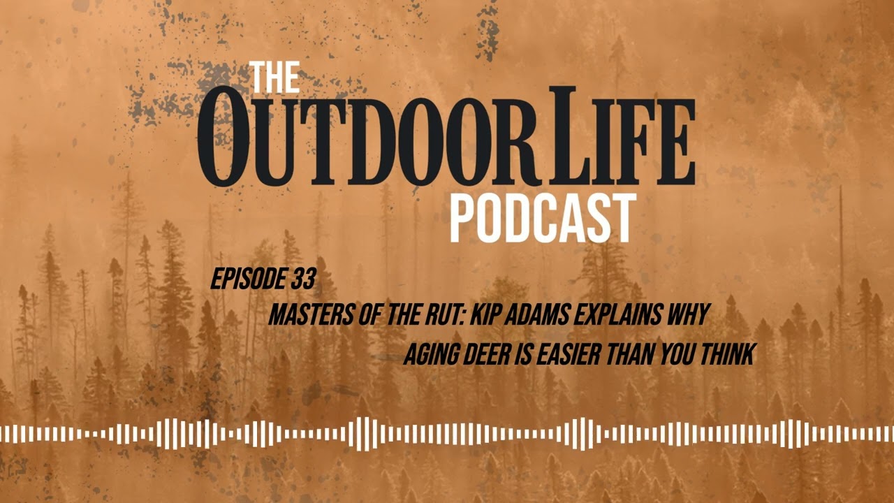 Episode 33: Masters of the Rut, Kip Adams Explains Why Aging Deer Is Easier Than You Think