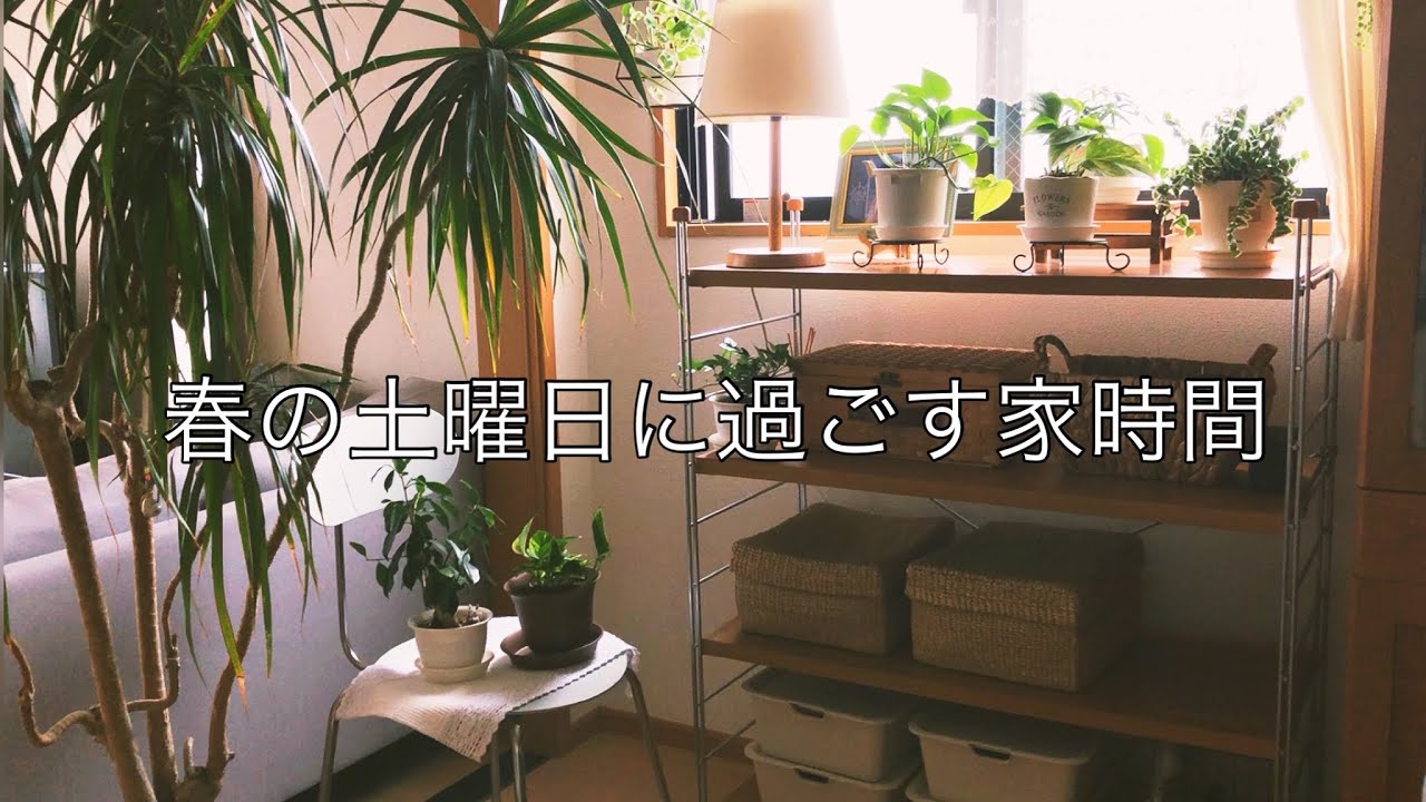 【休日の過ごし方】植物との暮らし / 冬の片付け / 週末掃除 / 夕方までの１日