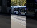 Bus 206