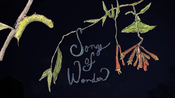 Amy Pardo - Songs of Wonder | Announcement Trailer