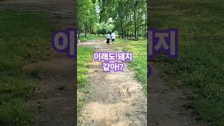 정말 너무한 거 아니야#대박 #치유 #사모님 #김기사 #김미려 #운전해 #진심 #돼지