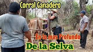 Corral Ganadero en lo más Profundo de la Selva en el Oriente de El Salvador.