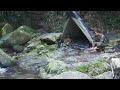 One Night Alone by the Stream | Survival in the Deep Jungle
