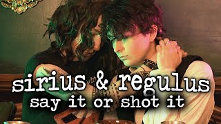 {regulus and sirius: say it or shot it, part 3}
