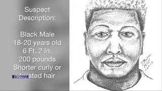 Wayne police release sketch of suspect wanted in rape and assault of woman