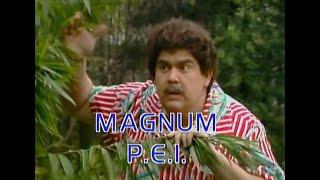 Magnum PEI  SCTV  1982