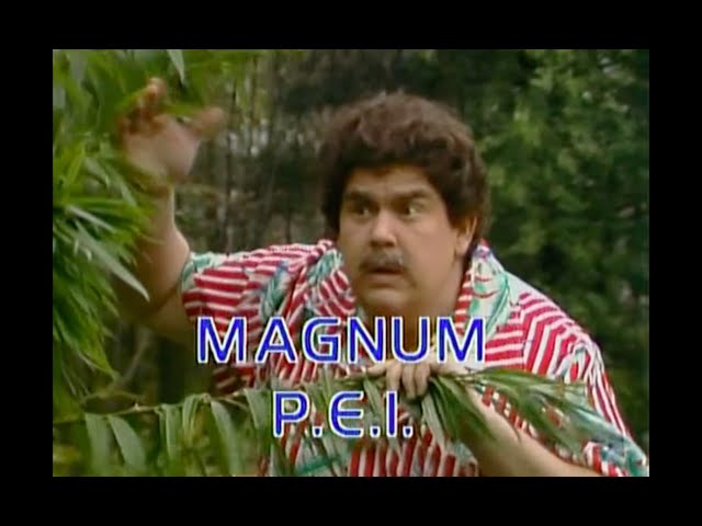Magnum PEI - SCTV - 1982 class=