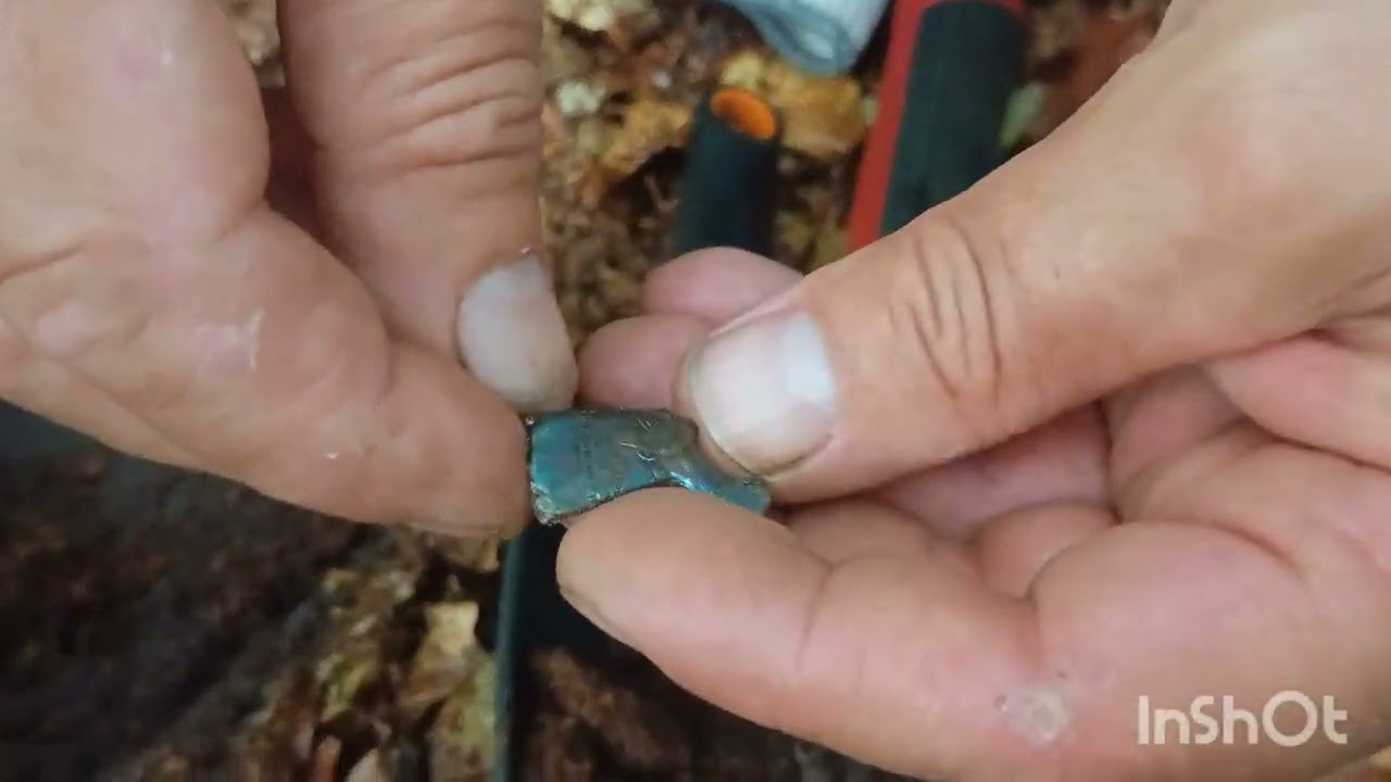 Курінь в хащах.#