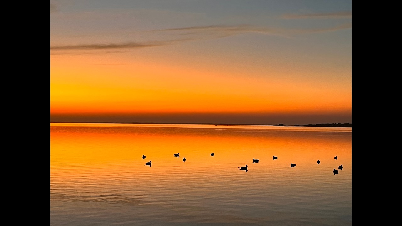 End of Season Texas Duck Hunting