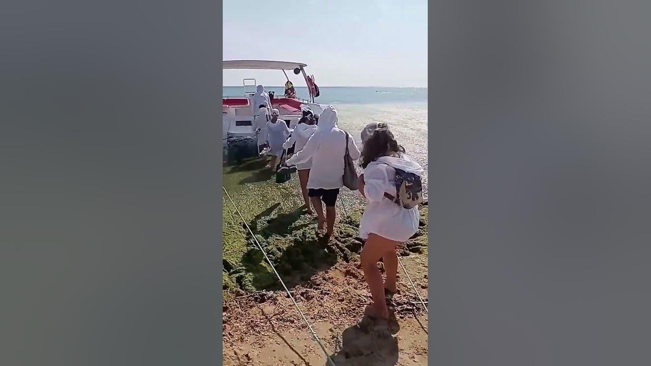 Пляж белый лебедь в Анапе