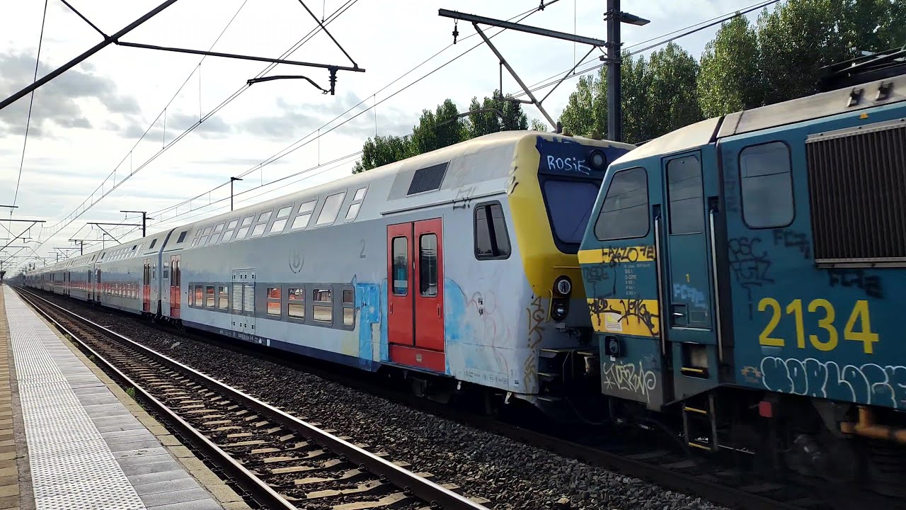 Treinen in Landegem | 27 augustus 2025