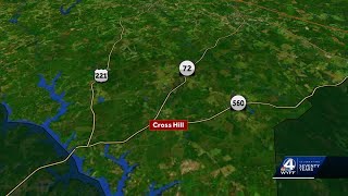Coroner identifies woman after deadly crash in Laurens County