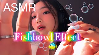 ASMR // Ba Hoa Chích Choè “ù tai”!✨🌈👀 - fishbowl, inaudible, mouthsound, visual... | Deadzonnne