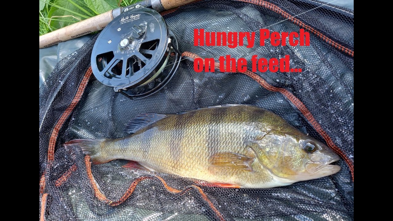 Russ Fish FISHING WITH SMALL LURES on a new stretch of River with Russ from ...