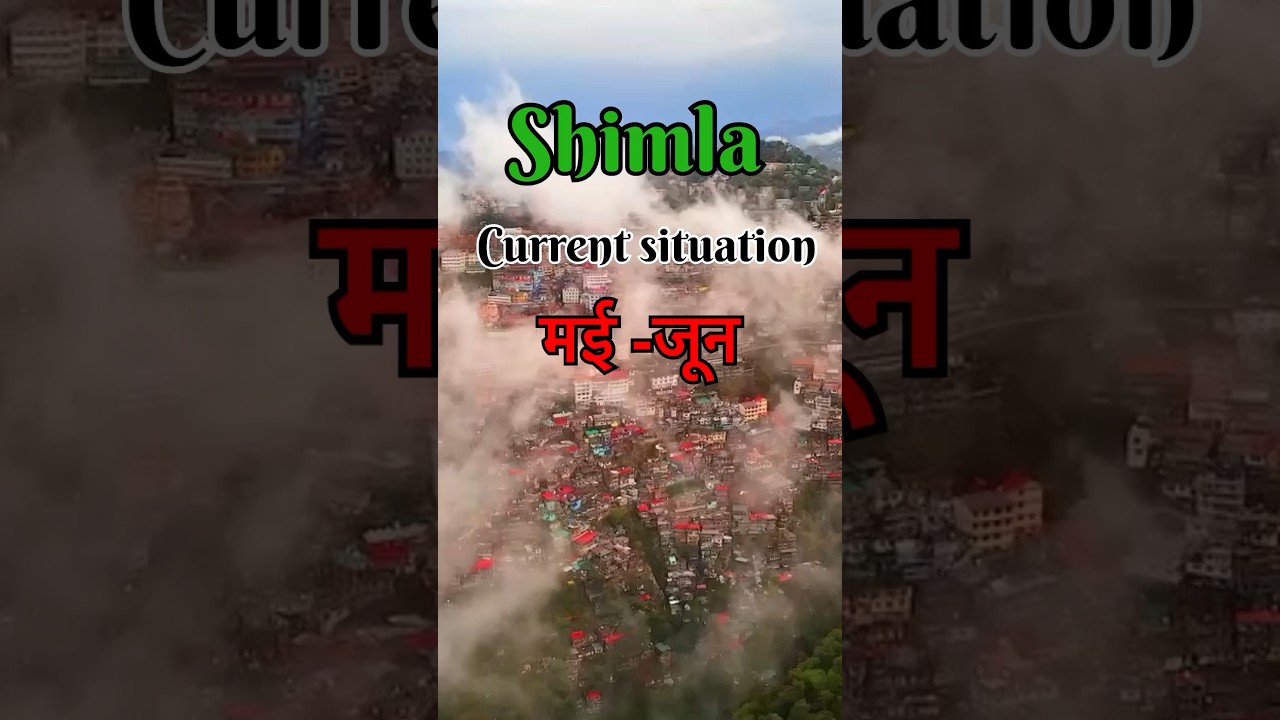 Shimla current situation may June ✅✅ #shimla #himachal #minivlog #travel