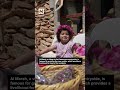 Syrian village celebrates Damask rose harvest