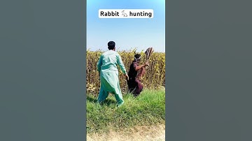 Rabbit 🐇 hunting #animals #farming #shortsyoutubevideo