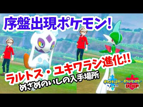 ポケモンソード シールド 序盤出現ポケモン ラルトス ユキワラシ進化アイテム めざめのいしの入手場所 Youtube