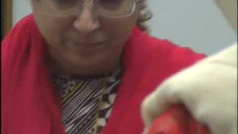 human resource management Lecture# 06 F