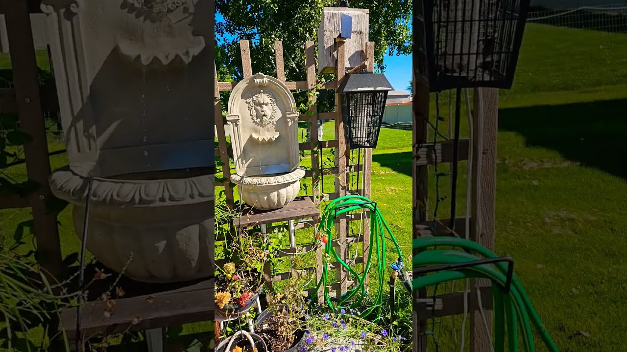 Solar powered water fountain, glad everybody made it home safely from 