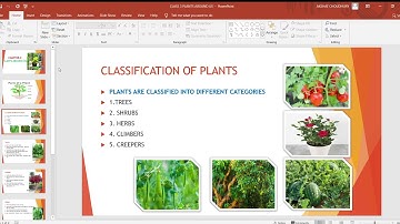 Chapter 2 Plants around us class 3(DAV)