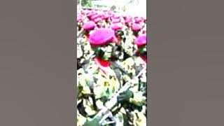 kumpulan Jedag jedug TNI