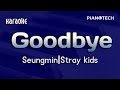 Seungmin Goodbye Stray Kids Karaoke 
