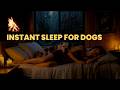 Fall Asleep Fast for Dogs 🐶 Calming Night Ambience &amp; Soothing Rain Sounds