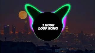 Busta Rhymes - Touch It TikTok Remix (1 HOUR LOOP)