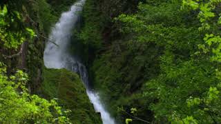WF112 Free Waterfall Stock Video Loop Background Footage Download