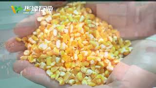 Do you know how to get corn germ easily? Corn germ separator machine helps you get everything done!