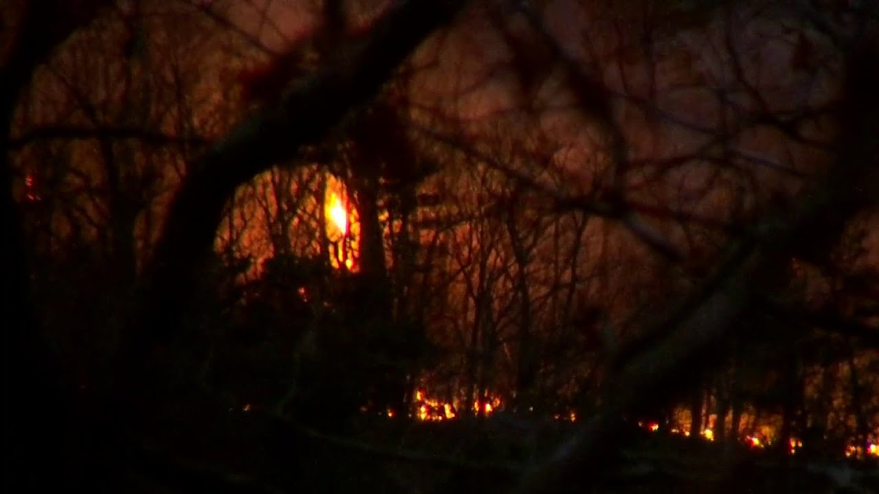 Contact Virginia Senators