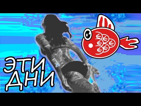 КАК ПЛАВАТЬ ВО ВРЕМЯ МЕСЯЧНЫХ? ♛ Beauty Обзоры
