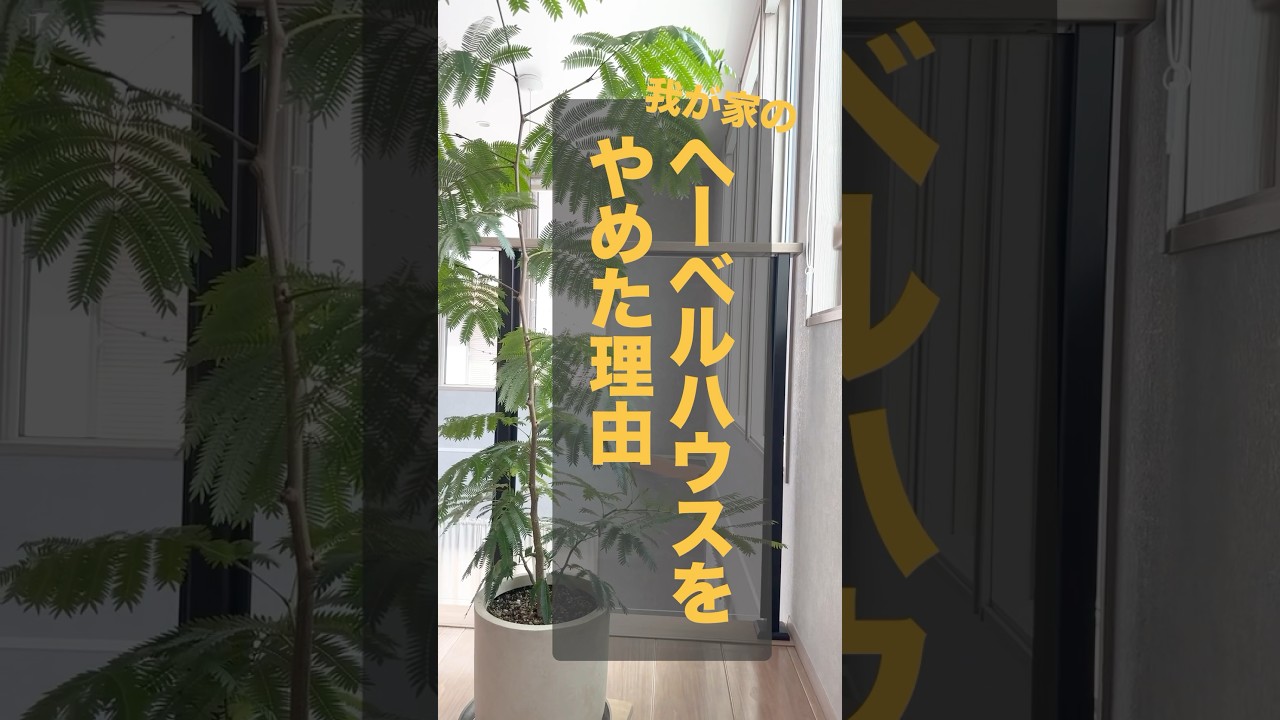 ぽーさんのお家とせいかつのYouTube動画: 【新築一戸建て】我が家がヘーベルハウスをやめた理由🏠