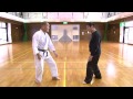 太気至誠拳法七段教士 岩間統正 動画シリーズ第一弾
