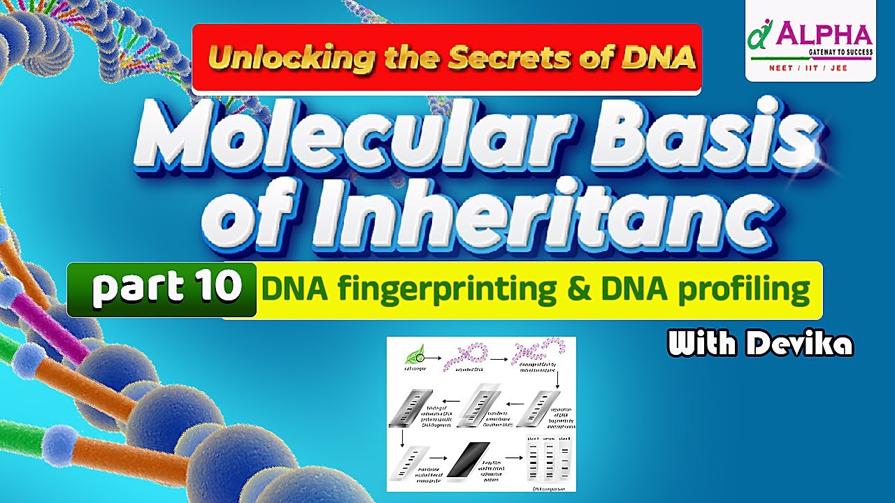 What is DNA fingerprinting & DNA profiling in tamil | molecular basis ...