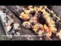 Raw footage: Israeli Air Force dismantled truck used as a mobile ballistic missile launcher in  Iran