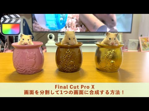 【FCPX】で画面を分割して1つの画面に合成する方法！【Final Cut Pro X】