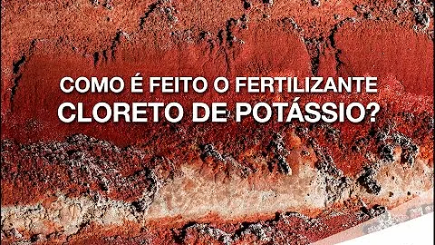 Para que serve o cloreto de potássio no organismo?